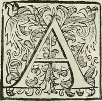 An illustration from Descrizione del regale apparato per le nozze della serenissima Madama Cristina di Loreno, moglie del serenissimo don Ferdinando Medici, III. granduca di Toscana (1589)
