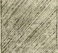 An illustration from Descrizione del regale apparato per le nozze della serenissima Madama Cristina di Loreno, moglie del serenissimo don Ferdinando Medici, III. granduca di Toscana (1589)