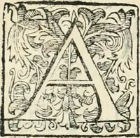 An illustration from Descrizione del regale apparato per le nozze della serenissima Madama Cristina di Loreno, moglie del serenissimo don Ferdinando Medici, III. granduca di Toscana (1589)