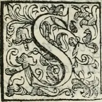 An illustration from Descrizione del regale apparato per le nozze della serenissima Madama Cristina di Loreno, moglie del serenissimo don Ferdinando Medici, III. granduca di Toscana (1589)