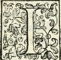 An illustration from Descrizione del regale apparato per le nozze della serenissima Madama Cristina di Loreno, moglie del serenissimo don Ferdinando Medici, III. granduca di Toscana (1589)