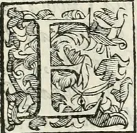 An illustration from Descrizione del regale apparato per le nozze della serenissima Madama Cristina di Loreno, moglie del serenissimo don Ferdinando Medici, III. granduca di Toscana (1589)