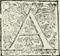 An illustration from Descrizione del regale apparato per le nozze della serenissima Madama Cristina di Loreno, moglie del serenissimo don Ferdinando Medici, III. granduca di Toscana (1589)