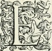 An illustration from Descrizione del regale apparato per le nozze della serenissima Madama Cristina di Loreno, moglie del serenissimo don Ferdinando Medici, III. granduca di Toscana (1589)