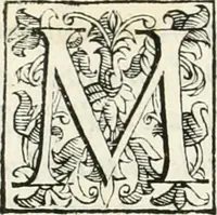 An illustration from Descrizione del regale apparato per le nozze della serenissima Madama Cristina di Loreno, moglie del serenissimo don Ferdinando Medici, III. granduca di Toscana (1589)