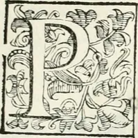 An illustration from Descrizione del regale apparato per le nozze della serenissima Madama Cristina di Loreno, moglie del serenissimo don Ferdinando Medici, III. granduca di Toscana (1589)