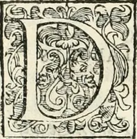 An illustration from Descrizione del regale apparato per le nozze della serenissima Madama Cristina di Loreno, moglie del serenissimo don Ferdinando Medici, III. granduca di Toscana (1589)