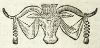 Picture 20 of 31 from Descrizione di Roma antica : formata nuouamente con le autorità di Bartolomeo Marliani, Onofrio Panuinio, Alessandro Donati, Faminio Nardini, e d'altri celebri scrittori antichi, & antiquarij moderni, accennati nella lettera al lettore. Nella quale si discorre degl' archi, aquedotti, basiliche, circhi, colonne, curie, fori, librerie, naumachie, obelischi, palazzi, pitture, ponti, statue, teatri, anfiteatri, tempij, terme, vie, & altri famosi edificij romani. Accresciuta di moltissime figure in rame, di varie medaglie, e di curiose notizie istoriche (1697), leaf 442
