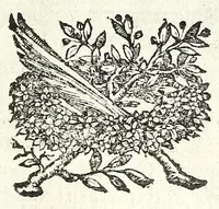 Picture 9 of 22 from Descrizione di Roma moderna : formata nuouamente con le autorità del cardinal Baronio, Alfonso Ciaconio, d'Antonio Bosio, Ottavio Panciroli, e d'altri celebri autori accennati nella lettera al lettore : nella quale si discorre delle sagre basiliche, chiefe, collegij, confraternite, librerie, monasterij, opsedali, fontane, giardini, palazzi, pitture, sculture, e statue più famose, che sono dentro, e fuori della città : come ancora dell'opere pie, indulgenze, e reliquie de' santi custodite nelle dette chiese, e de' sommi pontefici, e cardinali fondatori o restauratori delle medesime : distinta in quattordici rioni, abbellita con figure nuoue di rame, & accresciuta di molte notizie istoriche (1697), leaf 185
