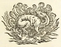 Picture 1 of 22 from Descrizione di Roma moderna : formata nuouamente con le autorità del cardinal Baronio, Alfonso Ciaconio, d'Antonio Bosio, Ottavio Panciroli, e d'altri celebri autori accennati nella lettera al lettore : nella quale si discorre delle sagre basiliche, chiefe, collegij, confraternite, librerie, monasterij, opsedali, fontane, giardini, palazzi, pitture, sculture, e statue più famose, che sono dentro, e fuori della città : come ancora dell'opere pie, indulgenze, e reliquie de' santi custodite nelle dette chiese, e de' sommi pontefici, e cardinali fondatori o restauratori delle medesime : distinta in quattordici rioni, abbellita con figure nuoue di rame, & accresciuta di molte notizie istoriche (1697), leaf 7