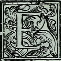 Picture 10 of 12 from Descrizione di tutte le pubbliche pitture della città di Venezia e isole circonvicine : o sia rinnovazione delle Ricche minere di Marco Boschini : colla aggiunta di tutte le opere, che uscirono dal 1674. fino al presente l733 : con un compendio delle vite, e maniere de' principali pittori (1733), leaf 324
