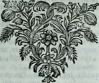 An illustration from Descrizione di tutte le pubbliche pitture della città di Venezia e isole circonvicine : o sia rinnovazione delle Ricche minere di Marco Boschini : colla aggiunta di tutte le opere, che uscirono dal 1674. fino al presente l733 : con un compendio delle vite, e maniere de' principali pittori (1733)