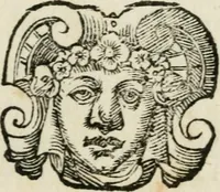 An illustration from Descrizzione de la felicissima entrata del serenis. d. Ferdinando de' Medici cardinale, gran duca di Toscana, nella città di Pisa : con tutti gli archi trionfali, portoni, apparati, imprese, e motti, con le lore interpretazioni, e significati : e con le composizioni, che ci so [sic] son fatte: con le feste, lumi, fuochi artifiziati, & altri segni d'allegrezze (1588)