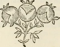 An illustration from Descrizzione delle imagini dipinnte da Rafaelle d'Urbino nelle Camere del Palazzo Apostolico Vaticano (1695)