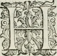 An illustration from Descrizzione dell'entrata dell'illustriss. e reuerendiss. monsig. Ascanio Piccolomini alla possession del suo arciuescouado in Siena, il dì xxj. di nouembre 1589 (1590)