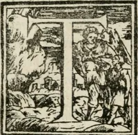 An illustration from Descrizzione dell'entrata dell'illustriss. e reuerendiss. monsig. Ascanio Piccolomini alla possession del suo arciuescouado in Siena, il dì xxj. di nouembre 1589 (1590)