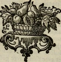 An illustration from Catalogue raisonné des differens effets curieux & rares contenus dans le cabinet de feu M. le chevalier de La Roque : ce cabinet renferme une collection considerable de tableaux, de desseins, & d'estampes des meilleurs maîtres; de figures de bronze & de marbre; de porcelaines anciennes ... de pierres ... de coquilles, & enfin de nombre d'autres morceaux interressans de divers genres (1745)
