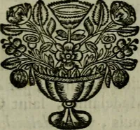 An illustration from Catalogue raisonné des differens effets curieux & rares contenus dans le cabinet de feu M. le chevalier de La Roque : ce cabinet renferme une collection considerable de tableaux, de desseins, & d'estampes des meilleurs maîtres; de figures de bronze & de marbre; de porcelaines anciennes ... de pierres ... de coquilles, & enfin de nombre d'autres morceaux interressans de divers genres (1745)