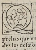 An illustration from Desengaño de celos (1586)