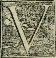 An illustration from De serpente aeneo Ambrosianae basilicae Mediolani micrologus (1675)