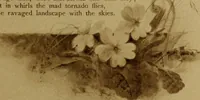 Picture 29 of 35 from The deserted village (1800), leaf 40