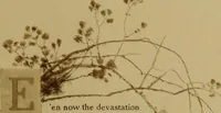 Picture 34 of 35 from The deserted village (1800), leaf 48