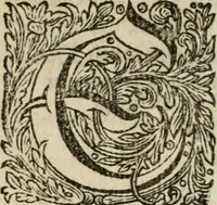 An illustration from Des gottseeligen hocherleuchteten Jacob Böhmens teutonici Philosophi Alle theosophische Wercken : darinnen alle tieffe Geheimnüsse Gottes der ewigen und zeitlichen Natur und Creatur : samt dem wahren Grunde christlicher Religion und der Gottseeligkeit, nach dem apostolischen Gezeugnüss offenbahrer werden : theils aus des Authoris eigenen Originalen, theils aus den ersten und nachgesehenen besten Copyen auffs fleissigste corrigiret : und in Beyfügung etlicher Clavium so vorhin noch nie gedruckt, nebenst einem zweyfachen Register : den Liebhabern göttlicher und natürlicher Weissheit zum besten an Tag gegeben (1682)