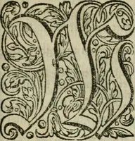 An illustration from Des gottseeligen hocherleuchteten Jacob Böhmens teutonici Philosophi Alle theosophische Wercken : darinnen alle tieffe Geheimnüsse Gottes der ewigen und zeitlichen Natur und Creatur : samt dem wahren Grunde christlicher Religion und der Gottseeligkeit, nach dem apostolischen Gezeugnüss offenbahrer werden : theils aus des Authoris eigenen Originalen, theils aus den ersten und nachgesehenen besten Copyen auffs fleissigste corrigiret : und in Beyfügung etlicher Clavium so vorhin noch nie gedruckt, nebenst einem zweyfachen Register : den Liebhabern göttlicher und natürlicher Weissheit zum besten an Tag gegeben (1682)