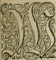 An illustration from Des gottseeligen hocherleuchteten Jacob Böhmens teutonici Philosophi Alle theosophische Wercken : darinnen alle tieffe Geheimnüsse Gottes der ewigen und zeitlichen Natur und Creatur : samt dem wahren Grunde christlicher Religion und der Gottseeligkeit, nach dem apostolischen Gezeugnüss offenbahrer werden : theils aus des Authoris eigenen Originalen, theils aus den ersten und nachgesehenen besten Copyen auffs fleissigste corrigiret : und in Beyfügung etlicher Clavium so vorhin noch nie gedruckt, nebenst einem zweyfachen Register : den Liebhabern göttlicher und natürlicher Weissheit zum besten an Tag gegeben (1682)