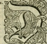 Picture 35 of 41 from Des gottseeligen hocherleuchteten Jacob Böhmens teutonici Philosophi Alle theosophische Wercken : darinnen alle tieffe Geheimnüsse Gottes der ewigen und zeitlichen Natur und Creatur : samt dem wahren Grunde christlicher Religion und der Gottseeligkeit, nach dem apostolischen Gezeugnüss offenbahrer werden : theils aus des Authoris eigenen Originalen, theils aus den ersten und nachgesehenen besten Copyen auffs fleissigste corrigiret : und in Beyfügung etlicher Clavium so vorhin noch nie gedruckt, nebenst einem zweyfachen Register : den Liebhabern göttlicher und natürlicher Weissheit zum besten an Tag gegeben (1682), leaf 1004