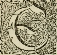 Picture 40 of 41 from Des gottseeligen hocherleuchteten Jacob Böhmens teutonici Philosophi Alle theosophische Wercken : darinnen alle tieffe Geheimnüsse Gottes der ewigen und zeitlichen Natur und Creatur : samt dem wahren Grunde christlicher Religion und der Gottseeligkeit, nach dem apostolischen Gezeugnüss offenbahrer werden : theils aus des Authoris eigenen Originalen, theils aus den ersten und nachgesehenen besten Copyen auffs fleissigste corrigiret : und in Beyfügung etlicher Clavium so vorhin noch nie gedruckt, nebenst einem zweyfachen Register : den Liebhabern göttlicher und natürlicher Weissheit zum besten an Tag gegeben (1682), leaf 1089