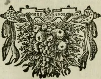 An illustration from Des gottseeligen hocherleuchteten Jacob Böhmens teutonici Philosophi Alle theosophische Wercken : darinnen alle tieffe Geheimnüsse Gottes der ewigen und zeitlichen Natur und Creatur : samt dem wahren Grunde christlicher Religion und der Gottseeligkeit, nach dem apostolischen Gezeugnüss offenbahrer werden : theils aus des Authoris eigenen Originalen, theils aus den ersten und nachgesehenen besten Copyen auffs fleissigste corrigiret : und in Beyfügung etlicher Clavium so vorhin noch nie gedruckt, nebenst einem zweyfachen Register : den Liebhabern göttlicher und natürlicher Weissheit zum besten an Tag gegeben (1682)