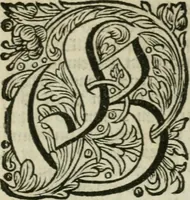 Picture 6 of 41 from Des gottseeligen hocherleuchteten Jacob Böhmens teutonici Philosophi Alle theosophische Wercken : darinnen alle tieffe Geheimnüsse Gottes der ewigen und zeitlichen Natur und Creatur : samt dem wahren Grunde christlicher Religion und der Gottseeligkeit, nach dem apostolischen Gezeugnüss offenbahrer werden : theils aus des Authoris eigenen Originalen, theils aus den ersten und nachgesehenen besten Copyen auffs fleissigste corrigiret : und in Beyfügung etlicher Clavium so vorhin noch nie gedruckt, nebenst einem zweyfachen Register : den Liebhabern göttlicher und natürlicher Weissheit zum besten an Tag gegeben (1682), leaf 296