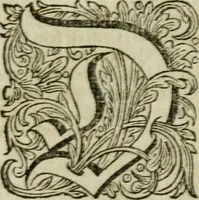 Picture 17 of 41 from Des gottseeligen hocherleuchteten Jacob Böhmens teutonici Philosophi Alle theosophische Wercken : darinnen alle tieffe Geheimnüsse Gottes der ewigen und zeitlichen Natur und Creatur : samt dem wahren Grunde christlicher Religion und der Gottseeligkeit, nach dem apostolischen Gezeugnüss offenbahrer werden : theils aus des Authoris eigenen Originalen, theils aus den ersten und nachgesehenen besten Copyen auffs fleissigste corrigiret : und in Beyfügung etlicher Clavium so vorhin noch nie gedruckt, nebenst einem zweyfachen Register : den Liebhabern göttlicher und natürlicher Weissheit zum besten an Tag gegeben (1682), leaf 580