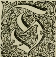An illustration from Des gottseeligen hocherleuchteten Jacob Böhmens teutonici Philosophi Alle theosophische Wercken : darinnen alle tieffe Geheimnüsse Gottes der ewigen und zeitlichen Natur und Creatur : samt dem wahren Grunde christlicher Religion und der Gottseeligkeit, nach dem apostolischen Gezeugnüss offenbahrer werden : theils aus des Authoris eigenen Originalen, theils aus den ersten und nachgesehenen besten Copyen auffs fleissigste corrigiret : und in Beyfügung etlicher Clavium so vorhin noch nie gedruckt, nebenst einem zweyfachen Register : den Liebhabern göttlicher und natürlicher Weissheit zum besten an Tag gegeben (1682)