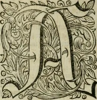 An illustration from Des gottseeligen hocherleuchteten Jacob Böhmens teutonici Philosophi Alle theosophische Wercken : darinnen alle tieffe Geheimnüsse Gottes der ewigen und zeitlichen Natur und Creatur : samt dem wahren Grunde christlicher Religion und der Gottseeligkeit, nach dem apostolischen Gezeugnüss offenbahrer werden : theils aus des Authoris eigenen Originalen, theils aus den ersten und nachgesehenen besten Copyen auffs fleissigste corrigiret : und in Beyfügung etlicher Clavium so vorhin noch nie gedruckt, nebenst einem zweyfachen Register : den Liebhabern göttlicher und natürlicher Weissheit zum besten an Tag gegeben (1682)