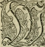 Picture 30 of 41 from Des gottseeligen hocherleuchteten Jacob Böhmens teutonici Philosophi Alle theosophische Wercken : darinnen alle tieffe Geheimnüsse Gottes der ewigen und zeitlichen Natur und Creatur : samt dem wahren Grunde christlicher Religion und der Gottseeligkeit, nach dem apostolischen Gezeugnüss offenbahrer werden : theils aus des Authoris eigenen Originalen, theils aus den ersten und nachgesehenen besten Copyen auffs fleissigste corrigiret : und in Beyfügung etlicher Clavium so vorhin noch nie gedruckt, nebenst einem zweyfachen Register : den Liebhabern göttlicher und natürlicher Weissheit zum besten an Tag gegeben (1682), leaf 800
