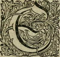 Picture 19 of 23 from Des gottseeligen hocherleuchteten Jacob Böhmens teutonici Philosophi Alle theosophische Wercken : darinnen alle tieffe Geheimnüsse Gottes der ewigen und zeitlichen Natur und Creatur : samt dem wahren Grunde christlicher Religion und der Gottseeligkeit, nach dem apostolischen Gezeugnüss offenbahrer werden : theils aus des Authoris eigenen Originalen, theils aus den ersten und nachgesehenen besten Copyen auffs fleissigste corrigiret : und in Beyfügung etlicher Clavium so vorhin noch nie gedruckt, nebenst einem zweyfachen Register : den Liebhabern göttlicher und natürlicher Weissheit zum besten an Tag gegeben (1682), leaf 1078