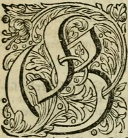 An illustration from Des gottseeligen hocherleuchteten Jacob Böhmens teutonici Philosophi Alle theosophische Wercken : darinnen alle tieffe Geheimnüsse Gottes der ewigen und zeitlichen Natur und Creatur : samt dem wahren Grunde christlicher Religion und der Gottseeligkeit, nach dem apostolischen Gezeugnüss offenbahrer werden : theils aus des Authoris eigenen Originalen, theils aus den ersten und nachgesehenen besten Copyen auffs fleissigste corrigiret : und in Beyfügung etlicher Clavium so vorhin noch nie gedruckt, nebenst einem zweyfachen Register : den Liebhabern göttlicher und natürlicher Weissheit zum besten an Tag gegeben (1682)