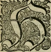 Picture 4 of 23 from Des gottseeligen hocherleuchteten Jacob Böhmens teutonici Philosophi Alle theosophische Wercken : darinnen alle tieffe Geheimnüsse Gottes der ewigen und zeitlichen Natur und Creatur : samt dem wahren Grunde christlicher Religion und der Gottseeligkeit, nach dem apostolischen Gezeugnüss offenbahrer werden : theils aus des Authoris eigenen Originalen, theils aus den ersten und nachgesehenen besten Copyen auffs fleissigste corrigiret : und in Beyfügung etlicher Clavium so vorhin noch nie gedruckt, nebenst einem zweyfachen Register : den Liebhabern göttlicher und natürlicher Weissheit zum besten an Tag gegeben (1682), leaf 12