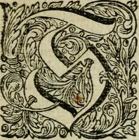An illustration from Des gottseeligen hocherleuchteten Jacob Böhmens teutonici Philosophi Alle theosophische Wercken : darinnen alle tieffe Geheimnüsse Gottes der ewigen und zeitlichen Natur und Creatur : samt dem wahren Grunde christlicher Religion und der Gottseeligkeit, nach dem apostolischen Gezeugnüss offenbahrer werden : theils aus des Authoris eigenen Originalen, theils aus den ersten und nachgesehenen besten Copyen auffs fleissigste corrigiret : und in Beyfügung etlicher Clavium so vorhin noch nie gedruckt, nebenst einem zweyfachen Register : den Liebhabern göttlicher und natürlicher Weissheit zum besten an Tag gegeben (1682)