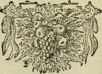 An illustration from Des gottseeligen hocherleuchteten Jacob Böhmens teutonici Philosophi Alle theosophische Wercken : darinnen alle tieffe Geheimnüsse Gottes der ewigen und zeitlichen Natur und Creatur : samt dem wahren Grunde christlicher Religion und der Gottseeligkeit, nach dem apostolischen Gezeugnüss offenbahrer werden : theils aus des Authoris eigenen Originalen, theils aus den ersten und nachgesehenen besten Copyen auffs fleissigste corrigiret : und in Beyfügung etlicher Clavium so vorhin noch nie gedruckt, nebenst einem zweyfachen Register : den Liebhabern göttlicher und natürlicher Weissheit zum besten an Tag gegeben (1682)