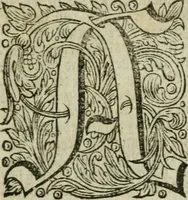 An illustration from Des gottseeligen hocherleuchteten Jacob Böhmens teutonici Philosophi Alle theosophische Wercken : darinnen alle tieffe Geheimnüsse Gottes der ewigen und zeitlichen Natur und Creatur : samt dem wahren Grunde christlicher Religion und der Gottseeligkeit, nach dem apostolischen Gezeugnüss offenbahrer werden : theils aus des Authoris eigenen Originalen, theils aus den ersten und nachgesehenen besten Copyen auffs fleissigste corrigiret : und in Beyfügung etlicher Clavium so vorhin noch nie gedruckt, nebenst einem zweyfachen Register : den Liebhabern göttlicher und natürlicher Weissheit zum besten an Tag gegeben (1682)