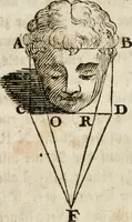 An illustration from Des Herrn Leonhard von Vinci, ersten Mahlers in Florenz, Praktisches Werk von der Mahlerey : worinnen diese vortrefliche Kunst hauptsächlich nach geometrisch- optisch- und mechanischen Grunden gelehret : wie auch nach anatomischen Regeln die verschiedenen Stellungen, Bewegungen und Berrichtungen der Glieder des menschlichen Körpors, deutlich vorgestellet wird (1786)
