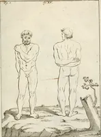 An illustration from Des Herrn Leonhard von Vinci, ersten Mahlers in Florenz, Praktisches Werk von der Mahlerey : worinnen diese vortrefliche Kunst hauptsächlich nach geometrisch- optisch- und mechanischen Grunden gelehret : wie auch nach anatomischen Regeln die verschiedenen Stellungen, Bewegungen und Berrichtungen der Glieder des menschlichen Körpors, deutlich vorgestellet wird (1786)