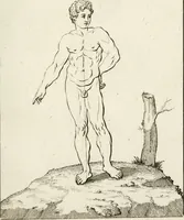 An illustration from Des Herrn Leonhard von Vinci, ersten Mahlers in Florenz, Praktisches Werk von der Mahlerey : worinnen diese vortrefliche Kunst hauptsächlich nach geometrisch- optisch- und mechanischen Grunden gelehret : wie auch nach anatomischen Regeln die verschiedenen Stellungen, Bewegungen und Berrichtungen der Glieder des menschlichen Körpors, deutlich vorgestellet wird (1786)