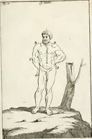 An illustration from Des Herrn Leonhard von Vinci, ersten Mahlers in Florenz, Praktisches Werk von der Mahlerey : worinnen diese vortrefliche Kunst hauptsächlich nach geometrisch- optisch- und mechanischen Grunden gelehret : wie auch nach anatomischen Regeln die verschiedenen Stellungen, Bewegungen und Berrichtungen der Glieder des menschlichen Körpors, deutlich vorgestellet wird (1786)