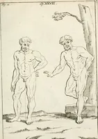 An illustration from Des Herrn Leonhard von Vinci, ersten Mahlers in Florenz, Praktisches Werk von der Mahlerey : worinnen diese vortrefliche Kunst hauptsächlich nach geometrisch- optisch- und mechanischen Grunden gelehret : wie auch nach anatomischen Regeln die verschiedenen Stellungen, Bewegungen und Berrichtungen der Glieder des menschlichen Körpors, deutlich vorgestellet wird (1786)
