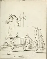 An illustration from Des Herrn Leonhard von Vinci, ersten Mahlers in Florenz, Praktisches Werk von der Mahlerey : worinnen diese vortrefliche Kunst hauptsächlich nach geometrisch- optisch- und mechanischen Grunden gelehret : wie auch nach anatomischen Regeln die verschiedenen Stellungen, Bewegungen und Berrichtungen der Glieder des menschlichen Körpors, deutlich vorgestellet wird (1786)