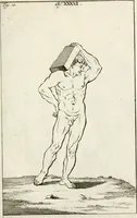 An illustration from Des Herrn Leonhard von Vinci, ersten Mahlers in Florenz, Praktisches Werk von der Mahlerey : worinnen diese vortrefliche Kunst hauptsächlich nach geometrisch- optisch- und mechanischen Grunden gelehret : wie auch nach anatomischen Regeln die verschiedenen Stellungen, Bewegungen und Berrichtungen der Glieder des menschlichen Körpors, deutlich vorgestellet wird (1786)
